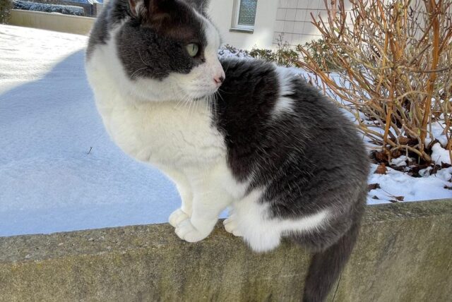 Perle assise sur un muret, la neige derrière elle