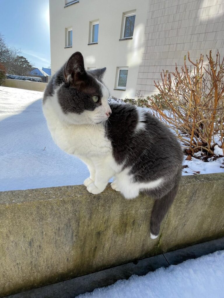 Perle assise sur un muret, la neige derrière elle